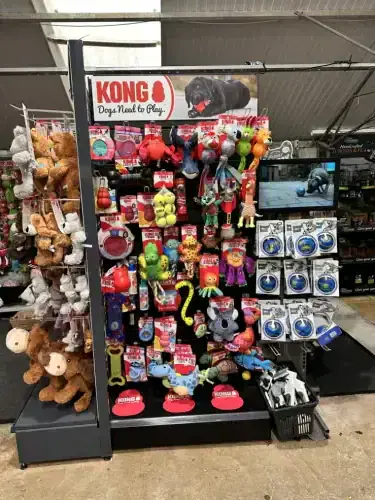 KONG Toys & Pet Accessories