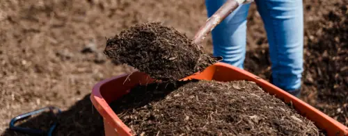 Levington, Westland, Jack’s Magic, Miracle Gro are among the few we stock.