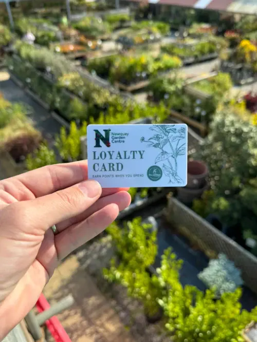 Loyalty Card