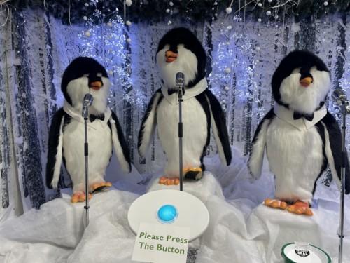 New for 2025: Singing Penguins
