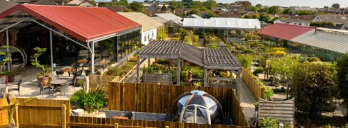Celebrating 75 years of Newquay Garden Centre